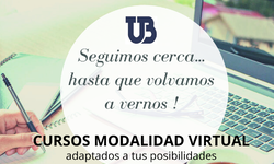 Modalidad Online